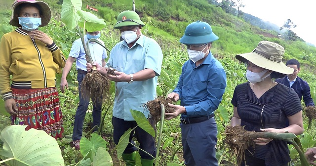 HTX Hưng Thùy và sản vật OCOP kết tinh từ núi rừng Trạm Tấu