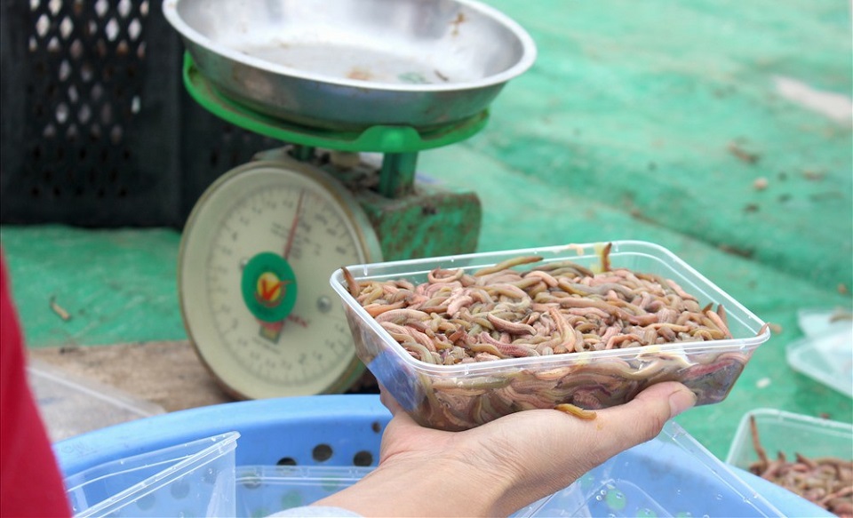 HTX An Thanh: Đưa 'lộc trời' thành sản phẩm OCOP 4 sao