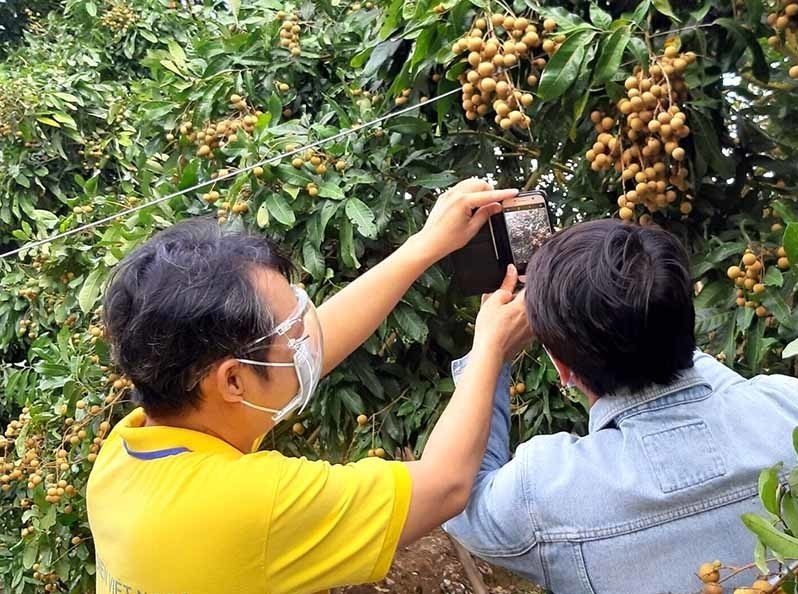 Bán hàng trên môi trường số: 'Chìa khóa vàng' giúp HTX vượt Covid-19