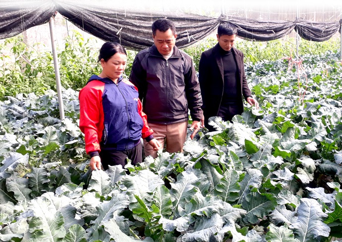 Nông nghiệp xanh, môi trường sạch trên vùng đất xứ Lạng