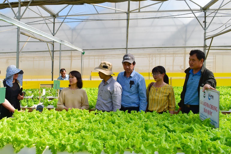 Học ngành nông nghiệp, hướng đi thông minh cho tương lai