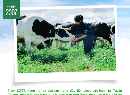 <p>
<span style="color:rgb(0,0,0);">Xác định chủ động nguyên liệu sữa sẽ là chìa khóa để phát triển, ban lãnh đạo doanh nghiệp cũng bắt tay vào thực hiện chiến lược xây dựng nên những trang trại bò sữa tập trung với quy mô lớn và được định hướng theo các tiêu chuẩn của quốc tế. </span></p>