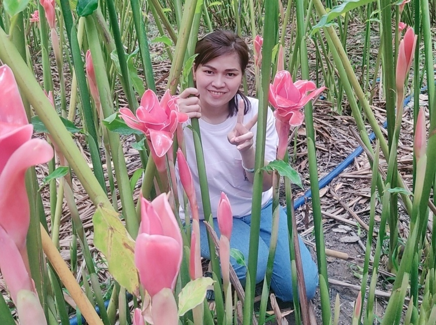 Trồng hoa sen Đa Lộc thân thiện môi trường ở Phú An