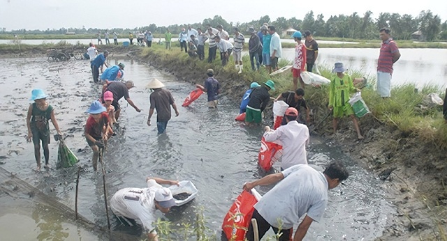 Mô hình con tôm hùm đỏ bằng nhựa dùng trang trí  Shopee Việt Nam