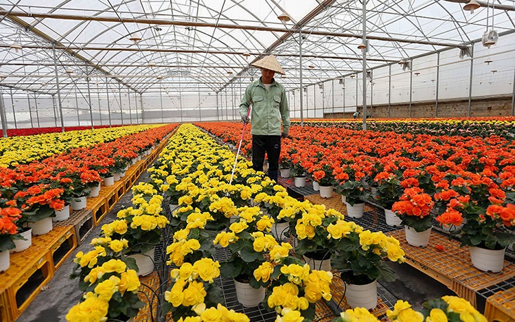 Để tín dụng không làm 'lỡ nhịp' phát triển nông nghiệp