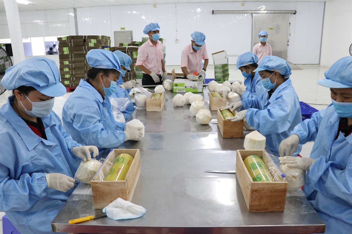 Giá xuất khẩu nông sản tăng cao, doanh nghiệp có lời lớn?