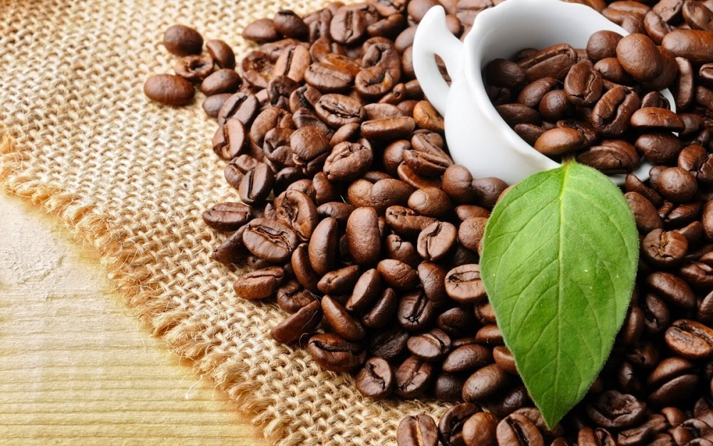 Giá cà phê nhích nhẹ 200 đồng/kg, dự báo tiếp tục tăng trong tháng cuối năm