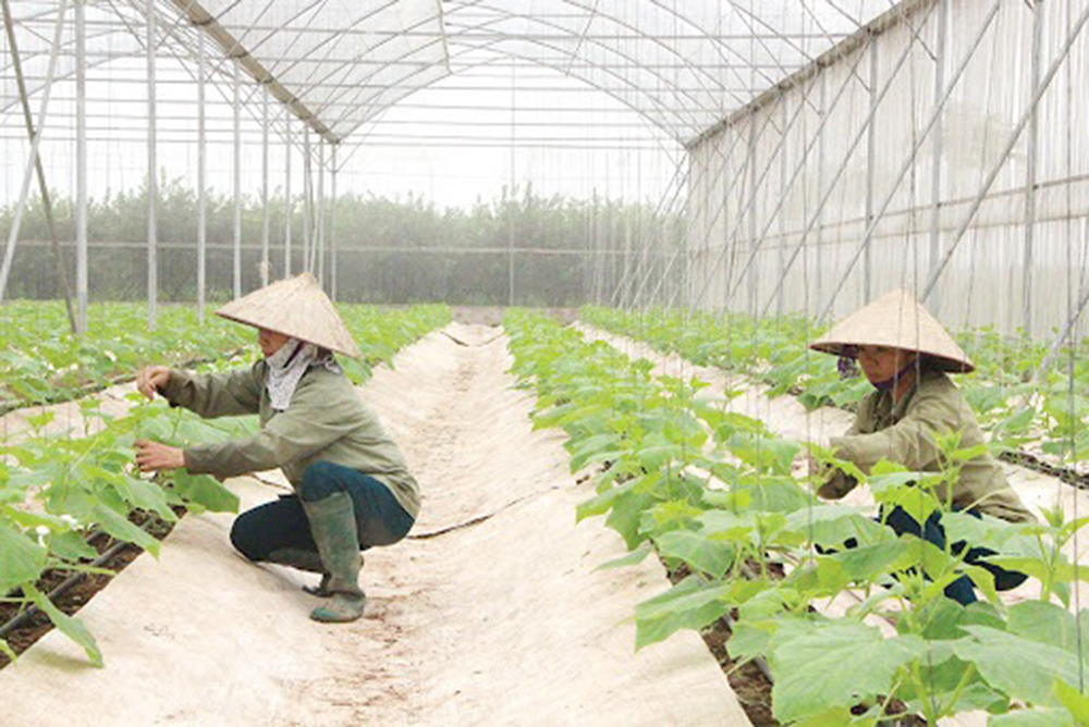 HTX ưu tiên sản xuất sạch, giảm phát thải khí nhà kính