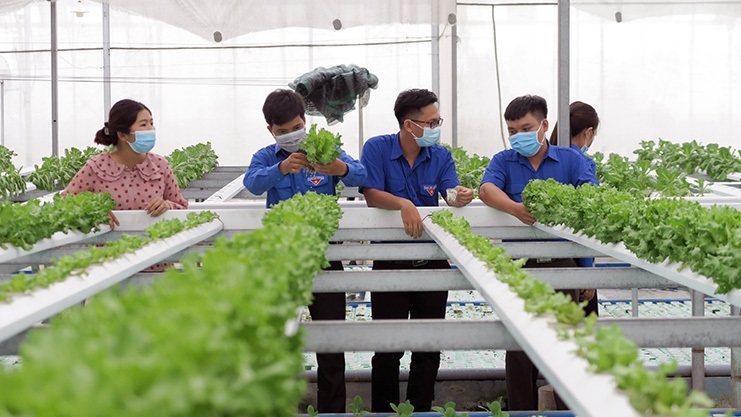 Thương hiệu sản phẩm 'mở cánh cửa' thị trường cho đặc sản bản địa