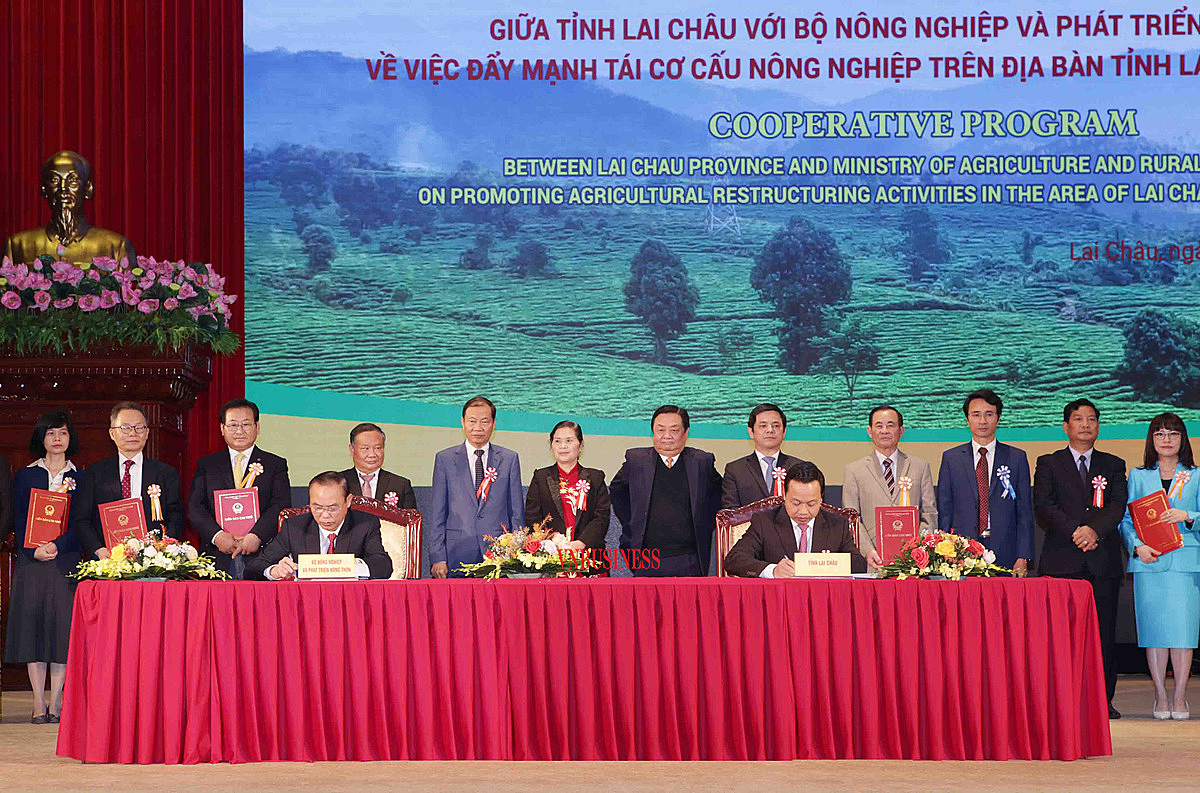 Đánh thức tiềm năng, hút doanh nghiệp vào nông nghiệp Lai Châu