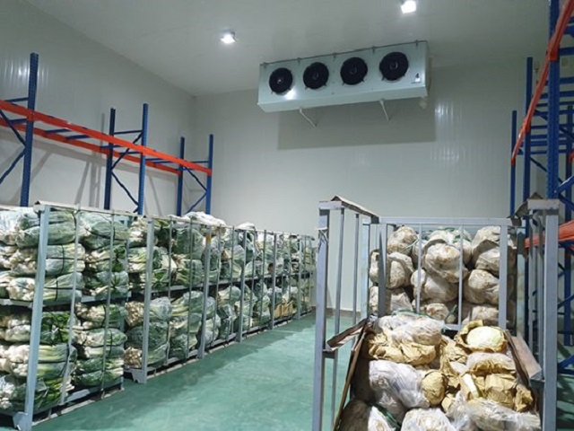 Đầu tư bảo quản để mở đầu ra cho nông sản