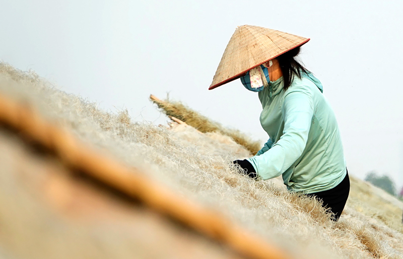 Chính sách thuế cần đúng và trúng nhu cầu của HTX
