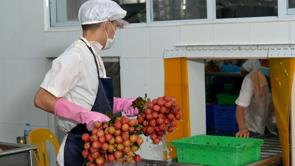 Trăn trở phía sau kỷ lục xuất khẩu nông sản