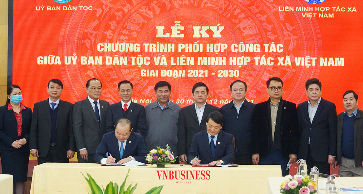 Thúc đẩy phát triển kinh tế tập thể, HTX vùng đồng bào dân tộc thiểu số