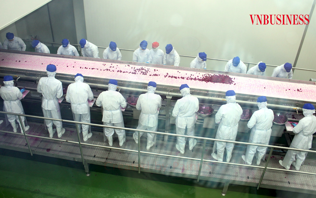 Kỳ vọng chuỗi giá trị nông sản Việt thích ứng tốt trong năm 2022
