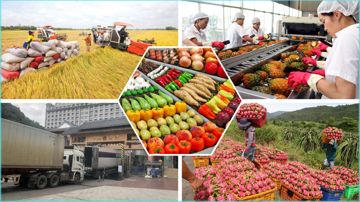 'Siêu Hiệp định' RCEP sẽ mở cuộc chơi mới cho doanh nghiệp Việt