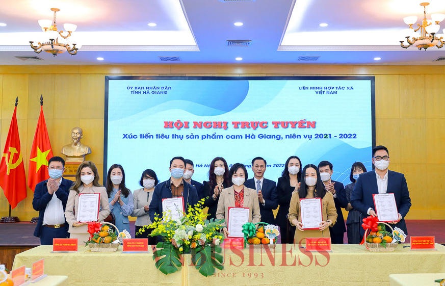 Khơi thông 'dòng chảy' cho cam Hà Giang