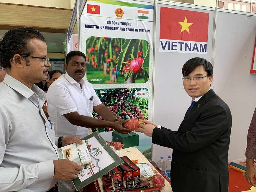 Xuất khẩu thanh long sang Ấn Độ: Không nên 'ăn xổi ở thì'