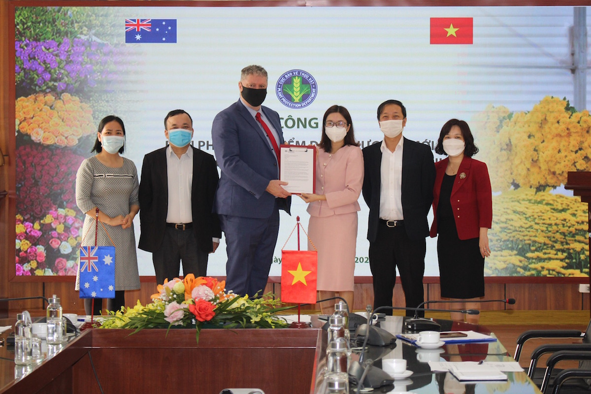 Hoa cắt cành được phép xuất khẩu trở lại vào Australia