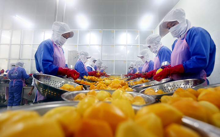 Tầm nhìn 2050: Việt Nam trở thành nước nông nghiệp hàng đầu thế giới