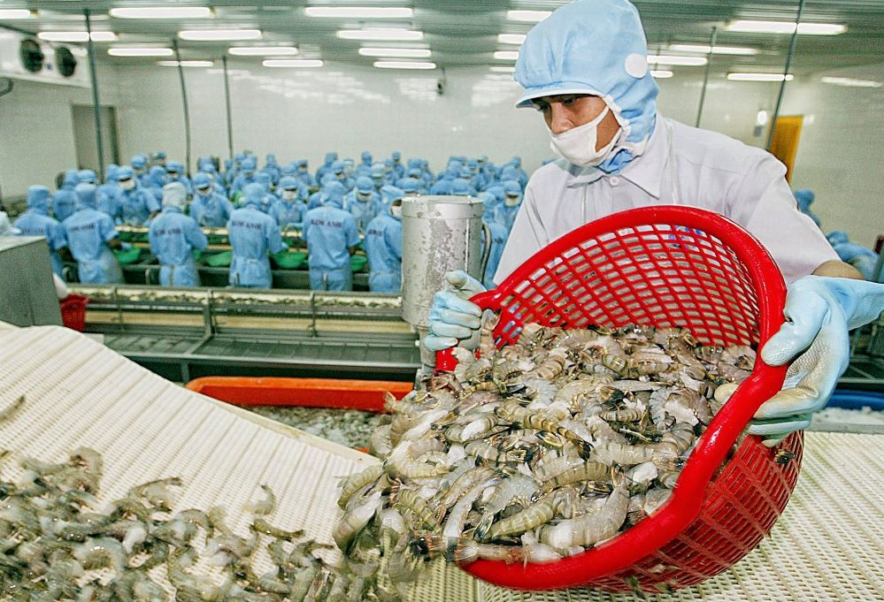Xuất khẩu nông sản sang Trung Quốc bị tắc, Văn phòng SPS kiến nghị khẩn