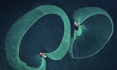 15 tác phẩm xuất sắc đạt giải cuộc thi Nhiếp ảnh gia dưới nước năm 2022