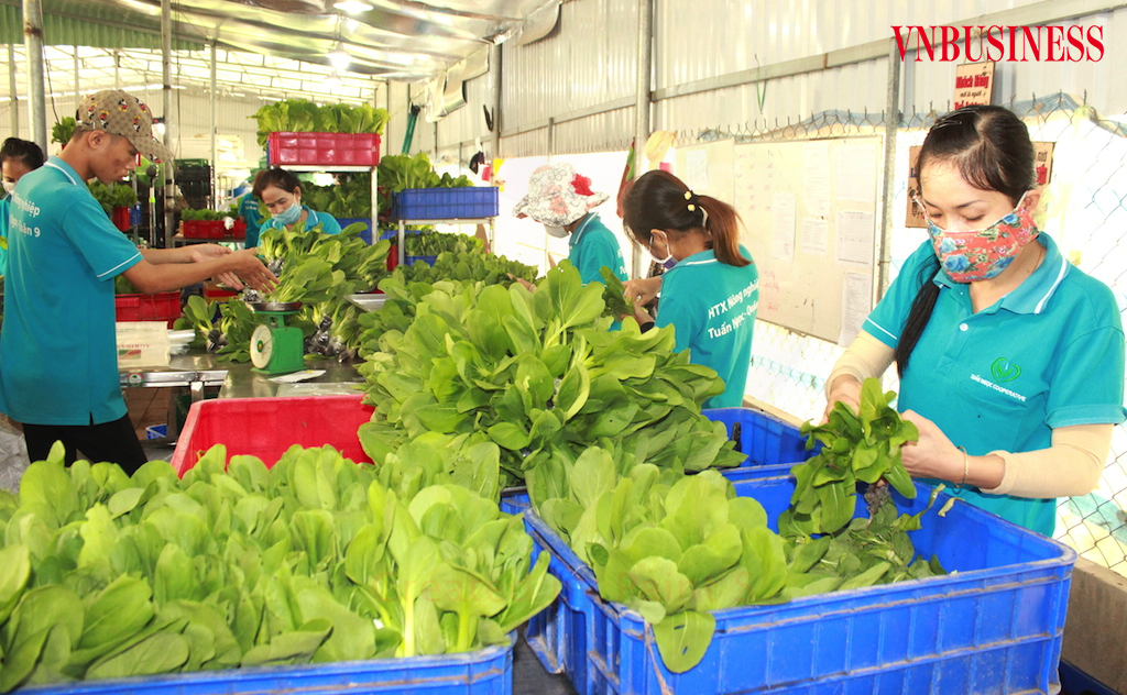 Con số 'khô khốc' không phản ánh đúng bản chất hợp tác xã