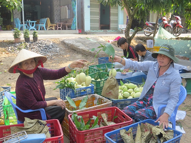 Bài học từ sự linh hoạt trong tìm đầu ra cho nông sản của HTX