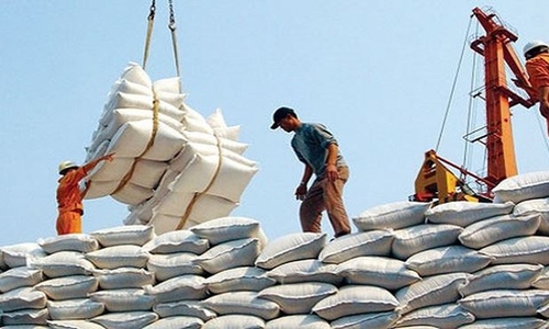Cổ phiếu lúa gạo 'miệt mài' đi lên trước dự báo giá lương thực tăng của WTO