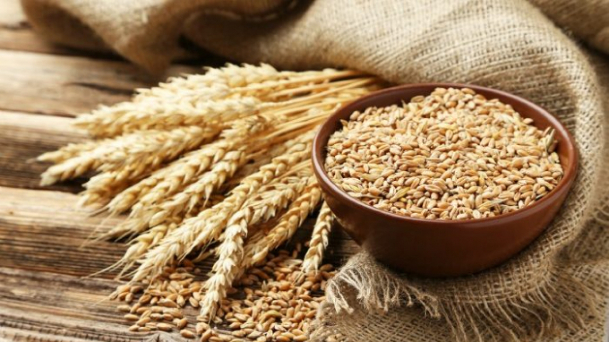 Bộ NN&PTNT chỉ ra những ngành chịu tác động từ xung đột Nga - Ukraine