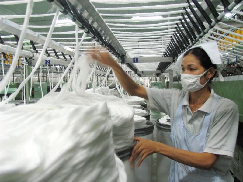 Doanh nghiệp 'khát' bông nguyên liệu, kim ngạch nhập khẩu vượt mốc 315 triệu USD/tháng