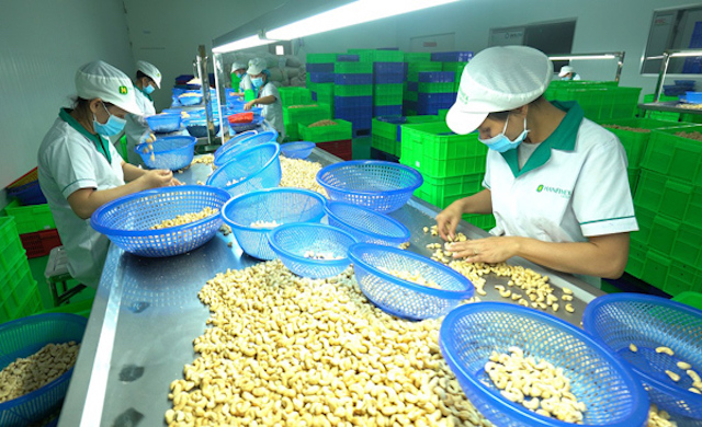 Vụ 100 container hạt điều xuất sang Ý: Ngân hàng đã từng đưa ra cảnh báo