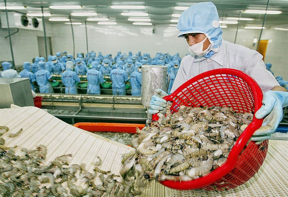 Hơn 60 lô tôm Việt Nam bị nước nhập khẩu cảnh báo