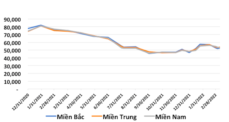 Giá thức ăn chăn nuôi tăng tới 22%, chăn nuôi lợn quy mô trang trại cũng lỗ
