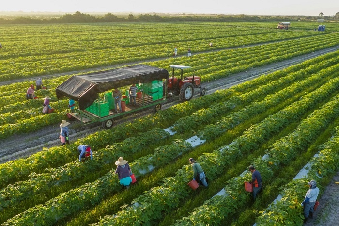 HTX bảo vệ môi trường từ sản xuất hữu cơ