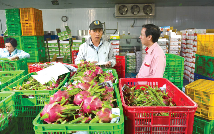 HTX xuất khẩu nông sản vượt thách thức lớn