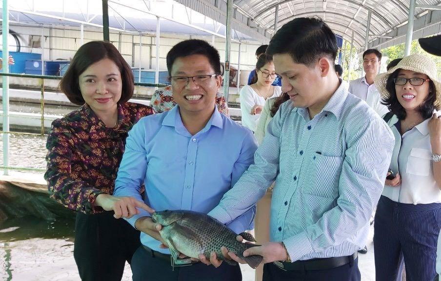Hợp tác để 'chiếc bánh' HTX ngày một to ra