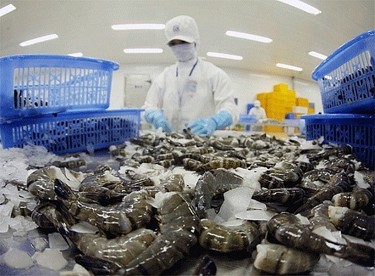 Xuất khẩu tôm đối mặt nhiều đối thủ, Thứ trưởng Nông nghiệp 'lệnh' thực hiện hàng loạt giải pháp