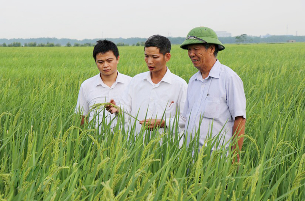 HTX tìm sức vươn với sản xuất 'thuận thiên'
