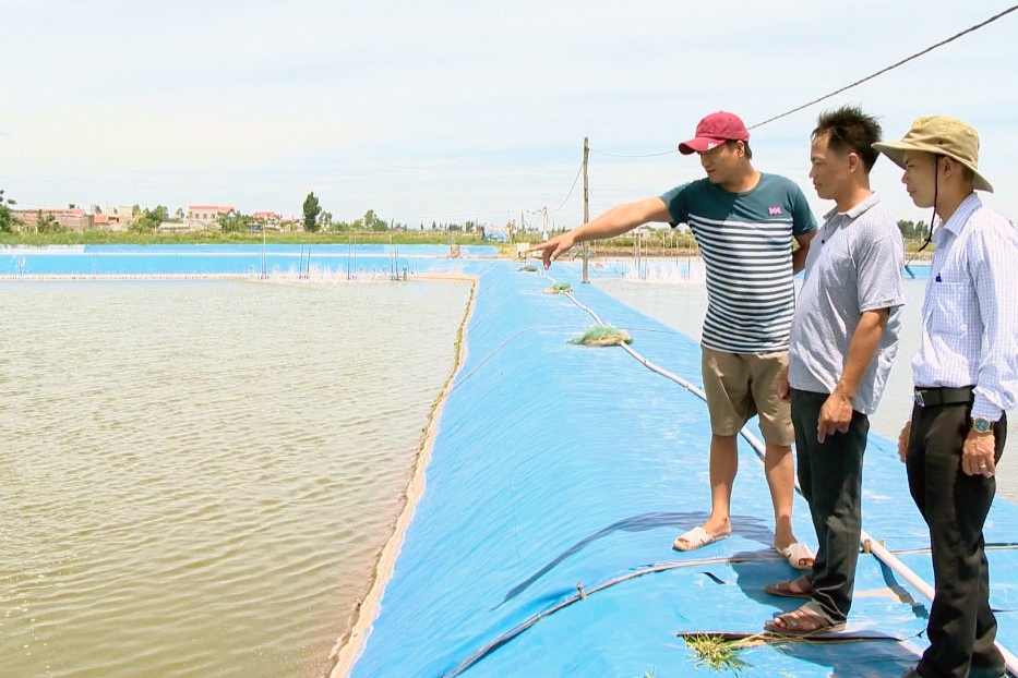 Tăng nội lực để HTX thủy sản bứt phá