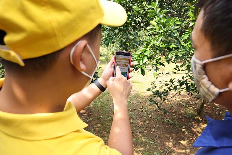 Thương mại điện tử mở rộng đầu ra cho HTX