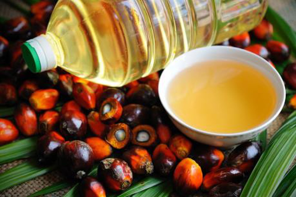 Indonesia cấm xuất khẩu dầu cọ thô (CPO) và dầu ăn, Bộ Công Thương khuyến cáo gì?