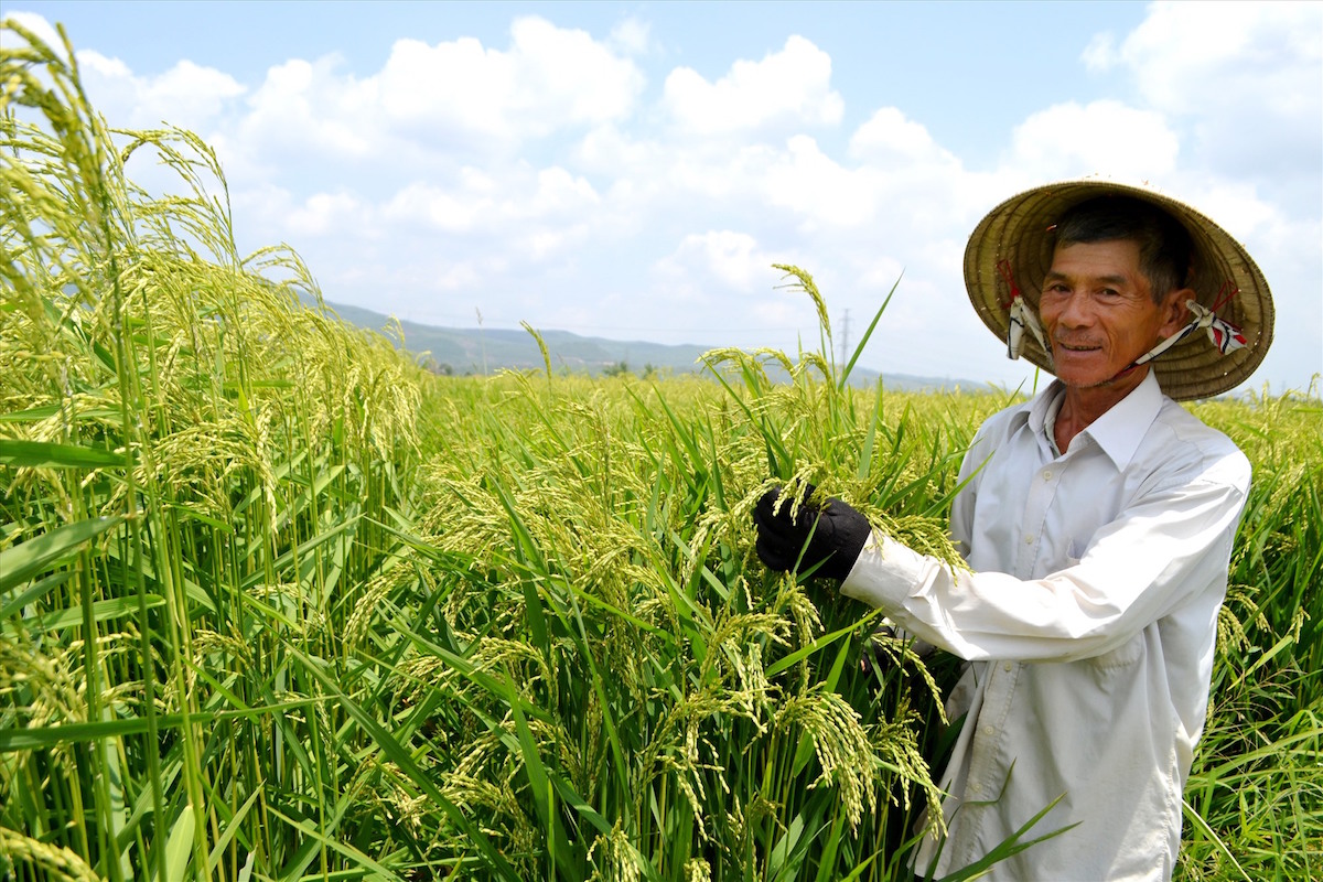 Kích hoạt nhanh chính sách bảo hiểm xã hội trong khu vực hợp tác xã