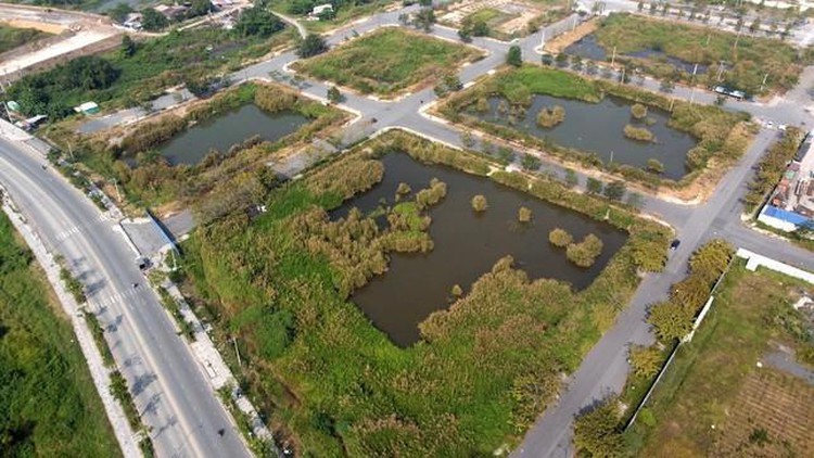 Cưỡng chế tài khoản thu nợ thuế 2 doanh nghiệp trúng thầu đấu giá 'đất vàng’ Thủ Thiêm