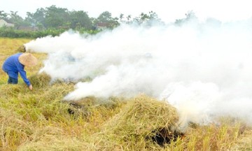 Kiểm soát ô nhiễm không khí từ sản xuất nông nghiệp ở Hà Nội