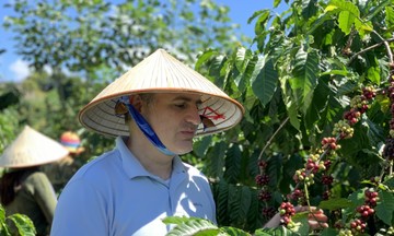 HTX miền Trung - Tây Nguyên: Mở hướng phát triển nông nghiệp du lịch