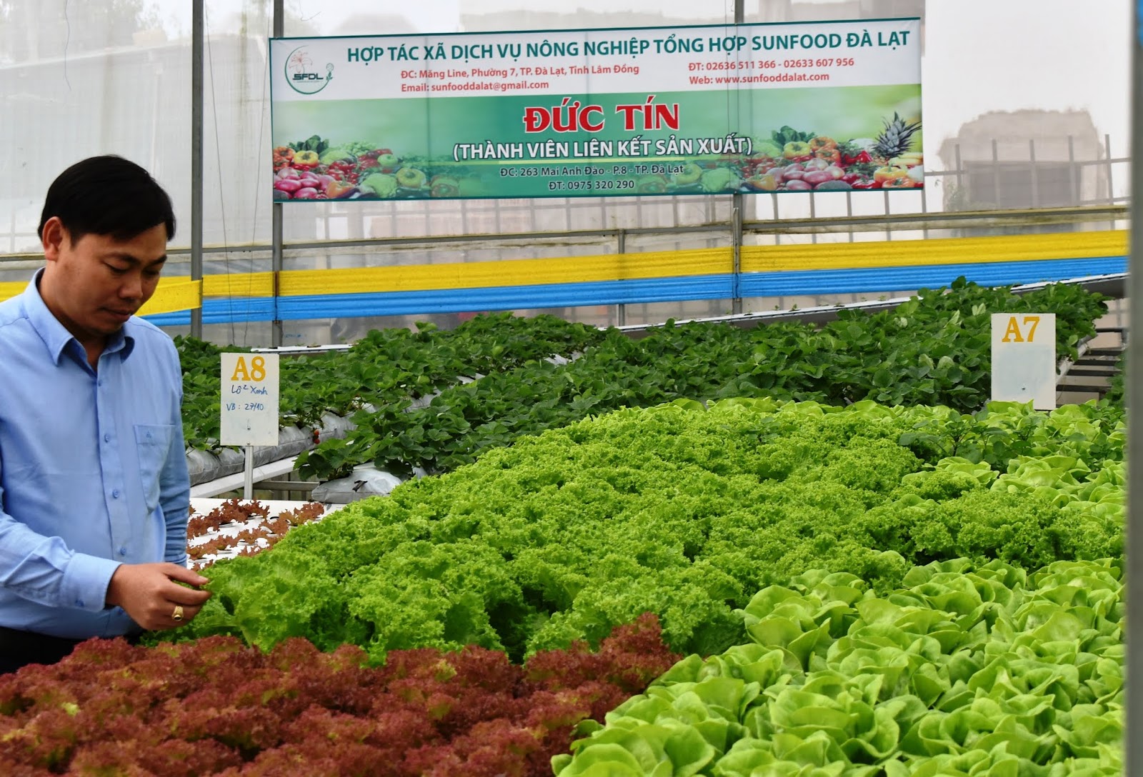 HTX miền Trung, Tây Nguyên bứt phá từ chuyển đổi số