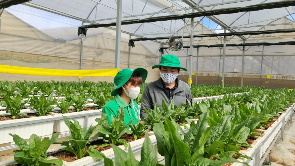 Có cán bộ giỏi, HTX sẽ phát triển