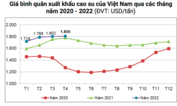 Giá xuất khẩu cao su tự nhiên Việt Nam thấp hơn các nước trong khu vực