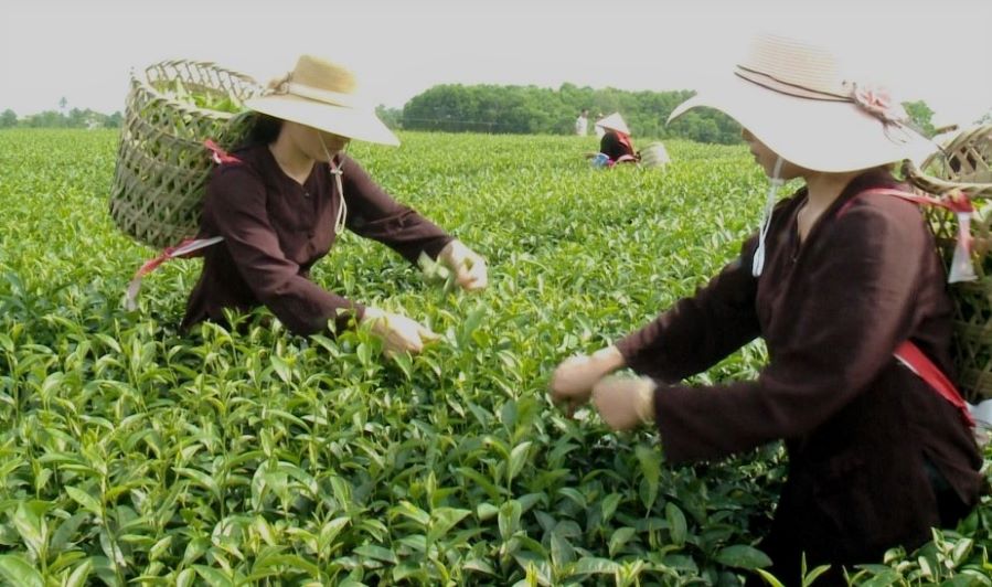 Chuyển đổi số được đưa vào tiêu chí thi đua xây dựng nông thôn mới